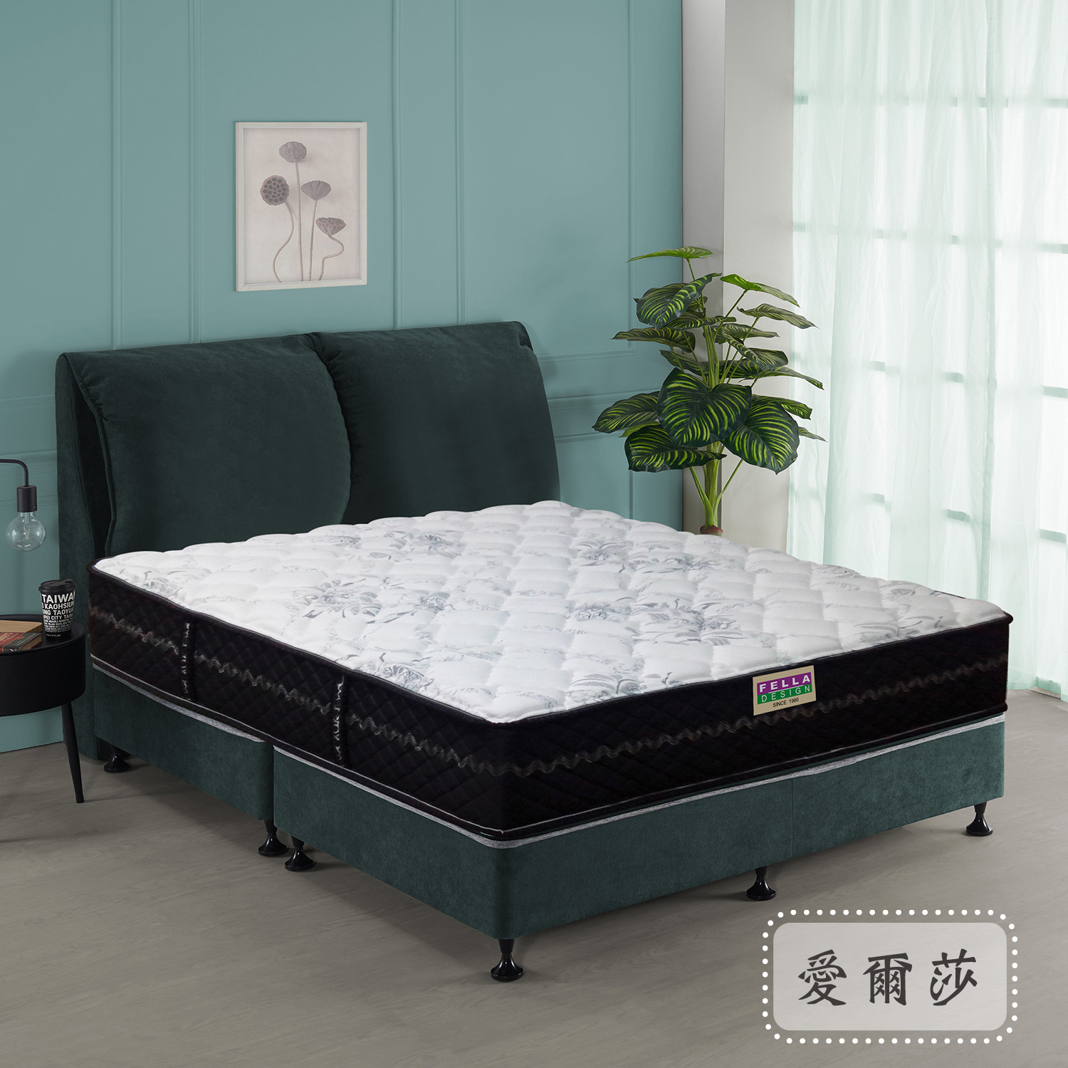 愛爾莎<br>軟○○●○○○○硬